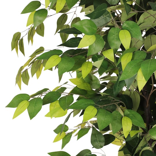6ft. Artificial Ficus Microcarpa Tree in White Decorative Pot